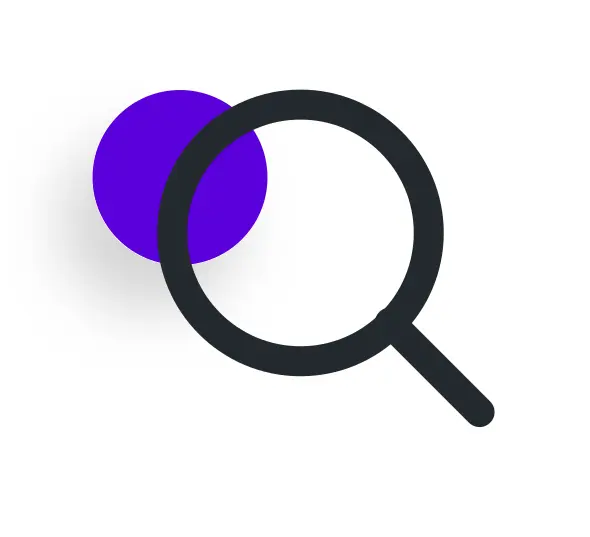 Security Audits Icon
